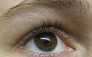 棕色眼睛的人什么血统(浅棕色眼睛是什么血统)