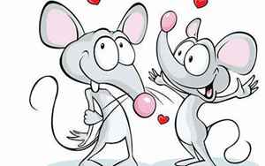 鼠配鼠的婚姻好不好