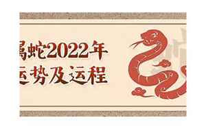 2022属蛇运势