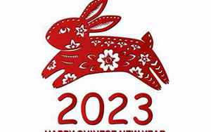 2023年的兔是什么命