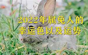 2022兔的全年运势如何