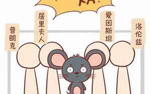 鼠的三合生肖是什么