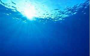大海水下是什么生肖