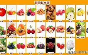 水果种类100种名称