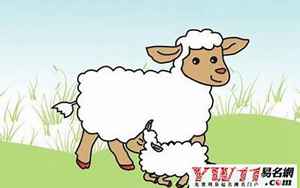 属羊的是哪年出生(属羊的人出生年份)