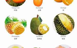 水果种类100种名称(有哪些名字非常好听的水果品种)