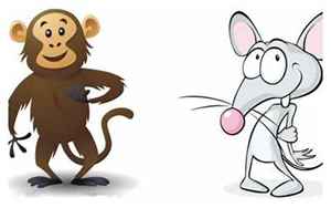 猴子和老鼠属相合不合(老鼠和猴子为什么配)