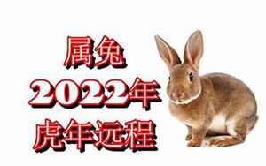 兔人在虎年2022年的运势如何(属虎属兔2022运势)