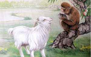 猴和羊(猴和羊相配婚姻怎么样)