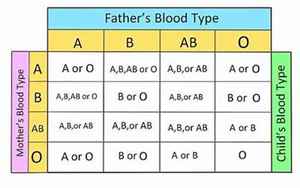 八字星座血型(如何用星座判断自己的血型)