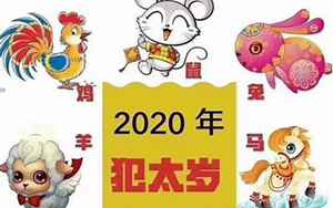 2020鼠年犯太岁的生肖(鼠年犯太岁的属相2020年是什么)