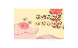 71年属猪人2020年运势运程每月运程(71年属猪2020年每月运气)
