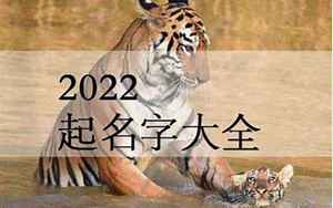 2022属虎男孩豪气的名字(虎宝宝起什么名字好)