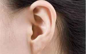 有耳垂和没耳垂的区别(什么样的耳垂是有耳垂、什么样的是无耳垂)