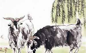 牛和牛的属相合不合(牛和牛相配婚姻如何)