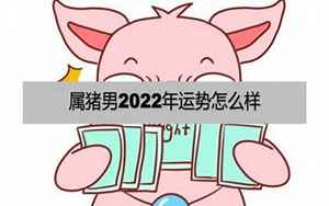 属猪男2022年的运势(2022年运势怎么样)