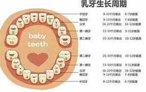 28颗牙齿的命运解析(二十八颗牙齿命运如何)