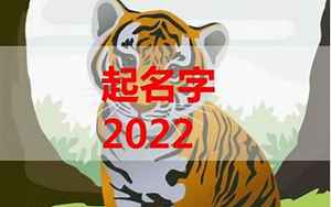 2022虎年宝宝起名大全(2022年的虎宝宝取什么名字好)