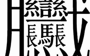 512画suang字(全世界最难写的字是什么字)
