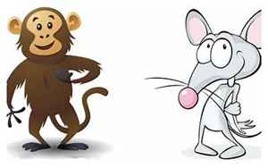鼠和猴在一起谁带财(鼠和猴关系如何)