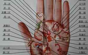 手掌与疾病对照表(手是健康的镜子)