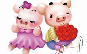 猪和猪相配婚姻如何(两个属猪的结婚会不会幸福)