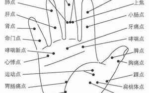 右手掌心有痣代表什么(位置不同含义也有所不同)