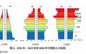 中国人口年龄分布(第七次全国人口普查公报)