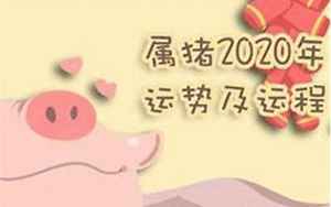 71年的猪男2022年的全程运势(71年属猪是什么命)