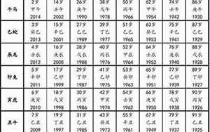 属猴的出生年份对照表(属猴年份表和年龄)
