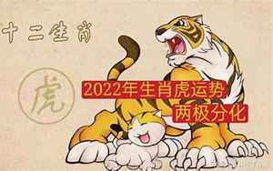 2022年生肖虎运势运程(2022年属虎人的全年每月运势)