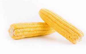 一根玉米热量(一根玉米的可食用部分有多少热量啊)