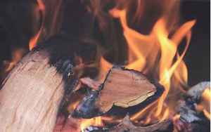 木火(火和木的关系是什么)