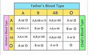 血型可以判断孩子是亲生的吗(如何从血型初步判断)
